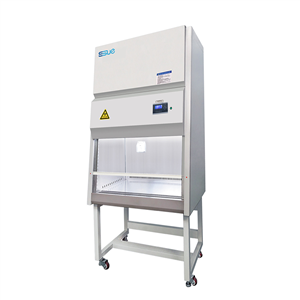 BSC-600IIA2配化疗药的生物安全柜
