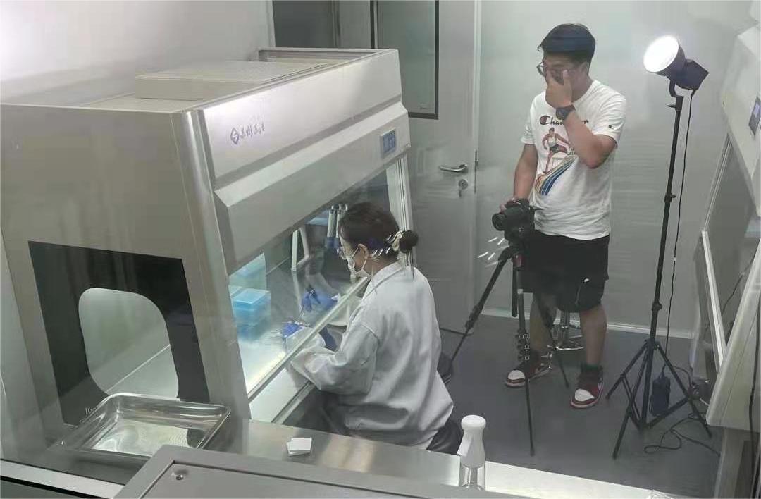 洁净工作台